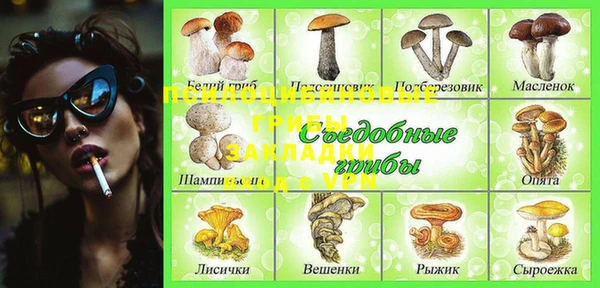 гидропоника Арсеньев