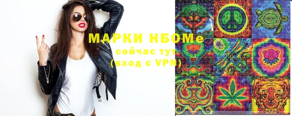 соль ск Алексин
