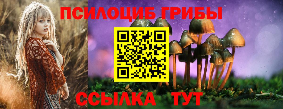 Глазов  Галлюциногенные грибы мухоморы  Галлюциногенные грибы прущие грибы  Вход с VPN 
