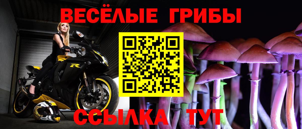 Псилоцибиновые грибы прущие грибы Глазов